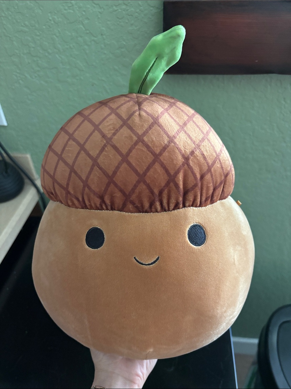 Mac Squishmallow the Acorn